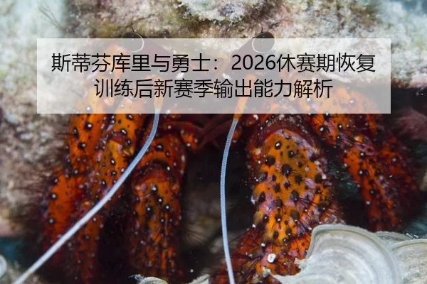 斯蒂芬库里与勇士：2026休赛期恢复训练后新赛季输出能力解析